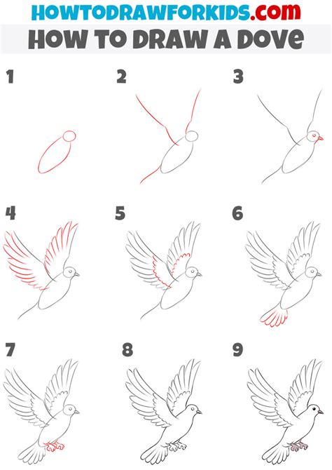 kalapati drawing easy|How to draw a Dove Step by Step .